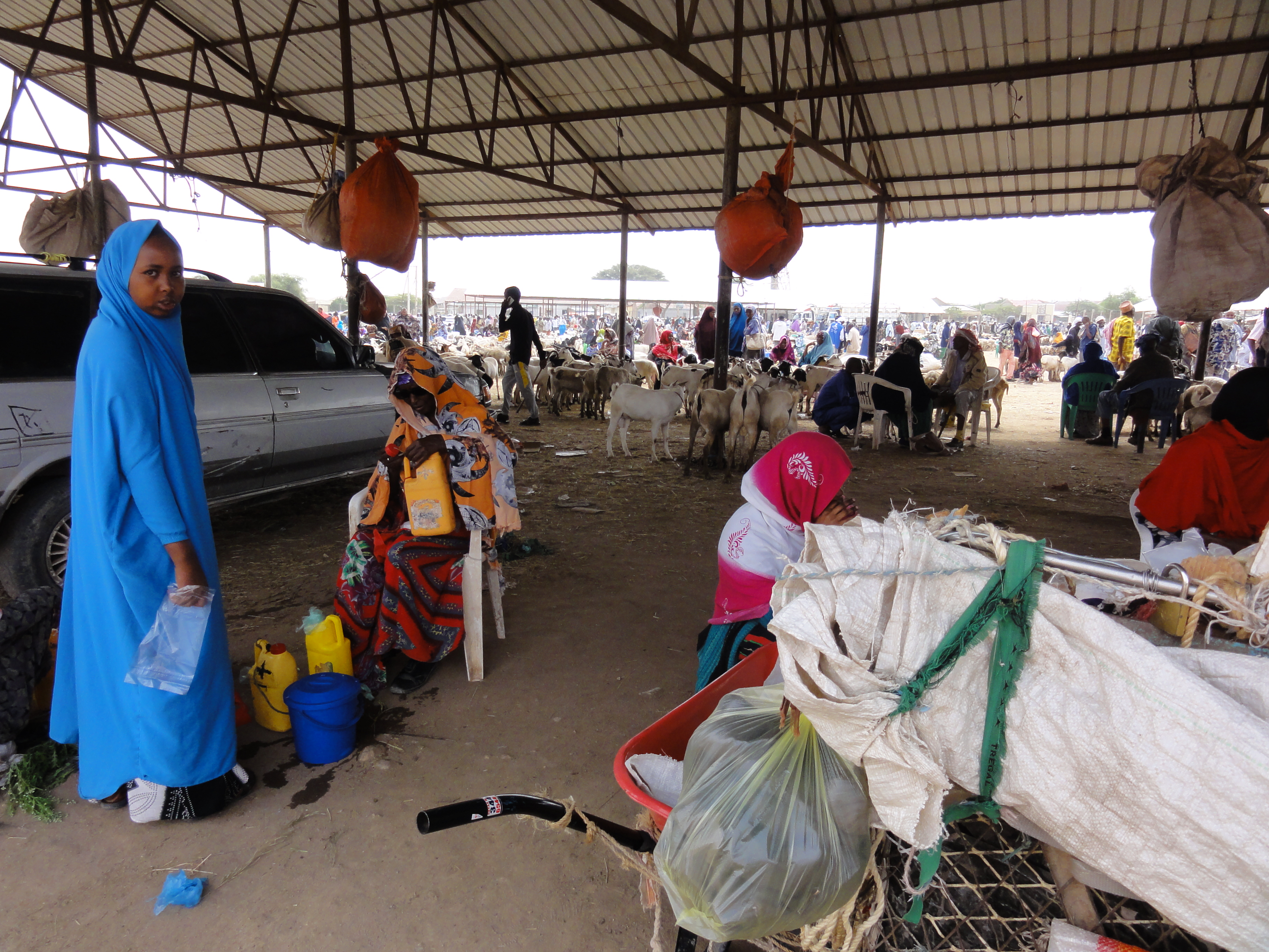 Camel market Hargeisa